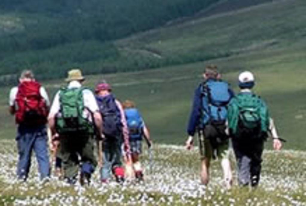 River Lodge Accomodation Уиклоу Екстериор снимка